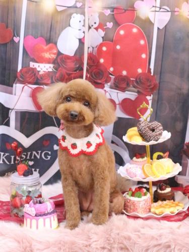 20250219かぐらちゃん